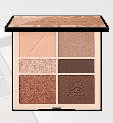 JUNGSAEMMOOL Artist Eye Palette Nude 15g (2type) - TIANSHOP