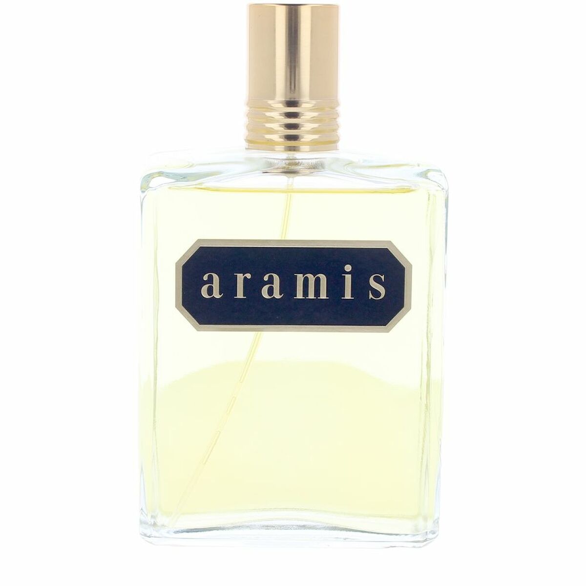 Men's Perfume Aramis ARAMIS 240 ml - TIANSHOP
