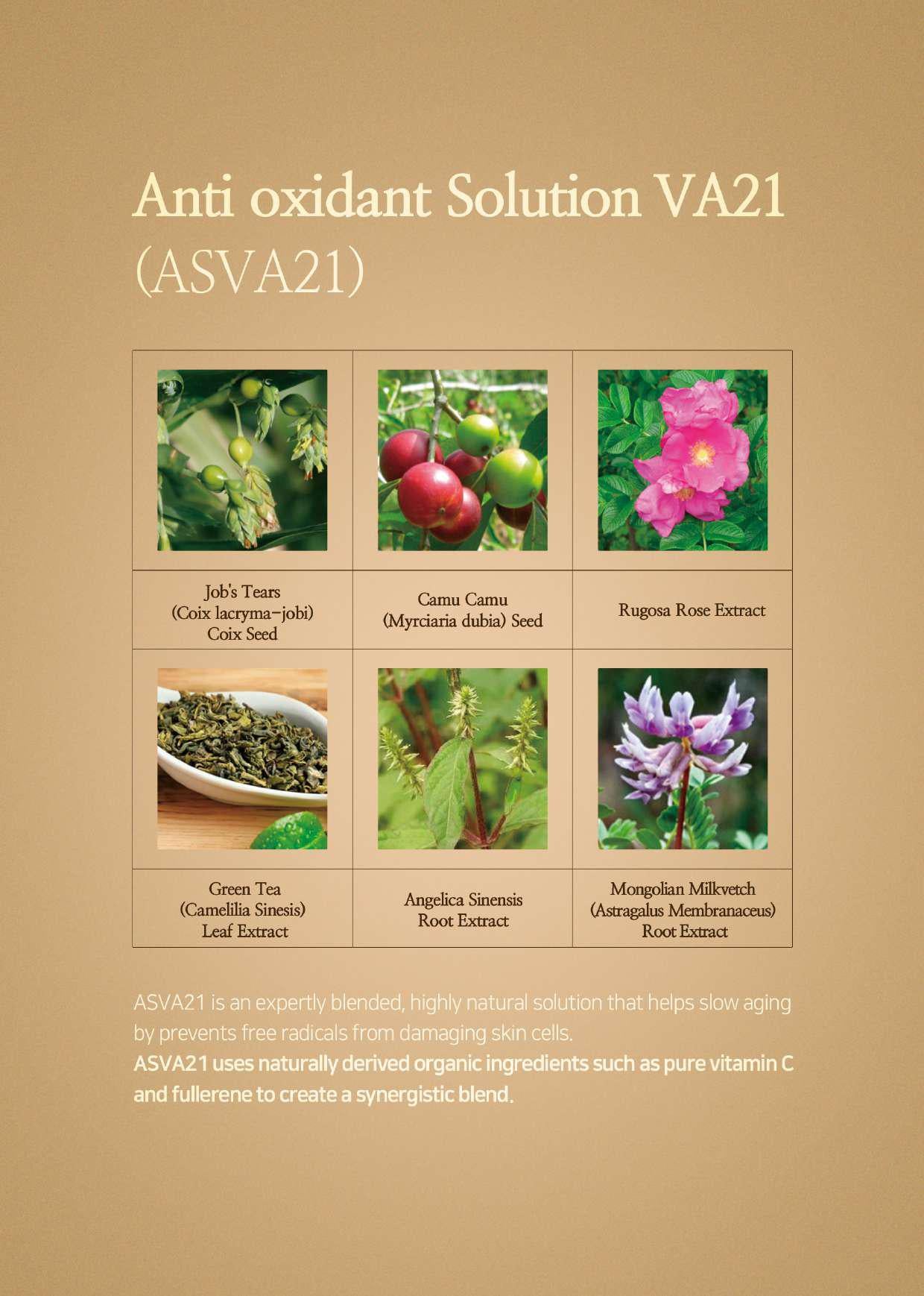 Relaco VA21 PREMIUM PURE VITAMIN C SERUM 14ml - TIANSHOP