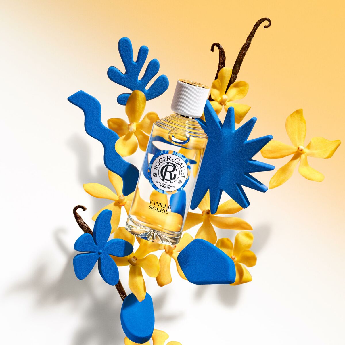 Unisex Perfume Roger & Gallet VAINILLE SOLEIL EDT 100 ml - TIANSHOP