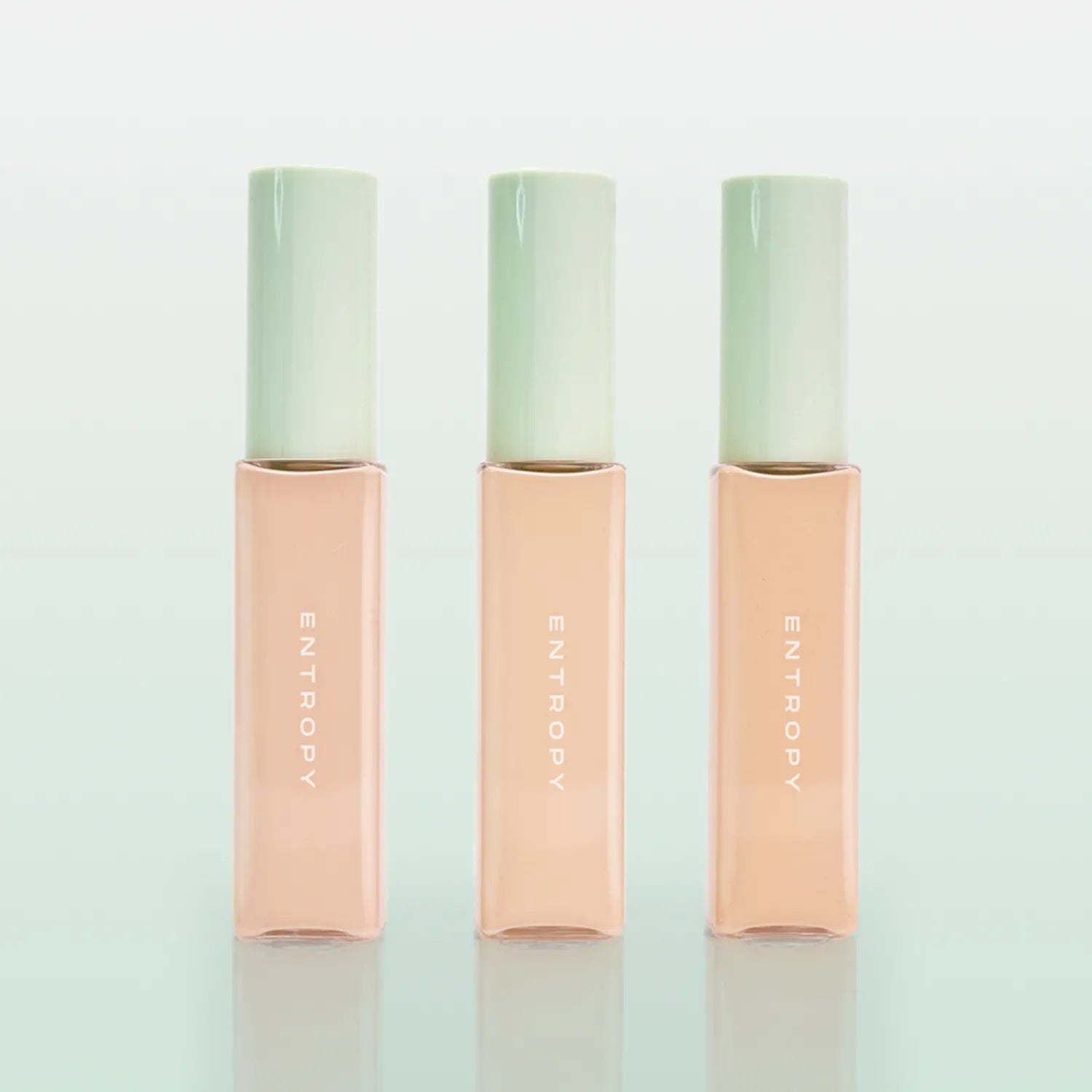ENTROPY Organza Fit Spatula Foundation 40g - TIANSHOP
