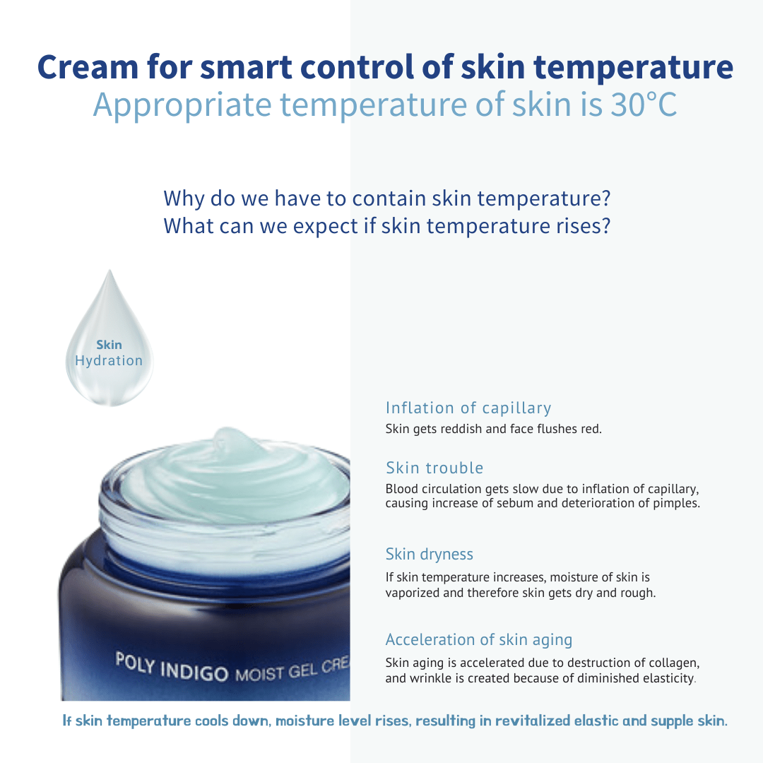 [JEJU INDI] Indigo Moist Gel Cream 80g - TIANSHOP