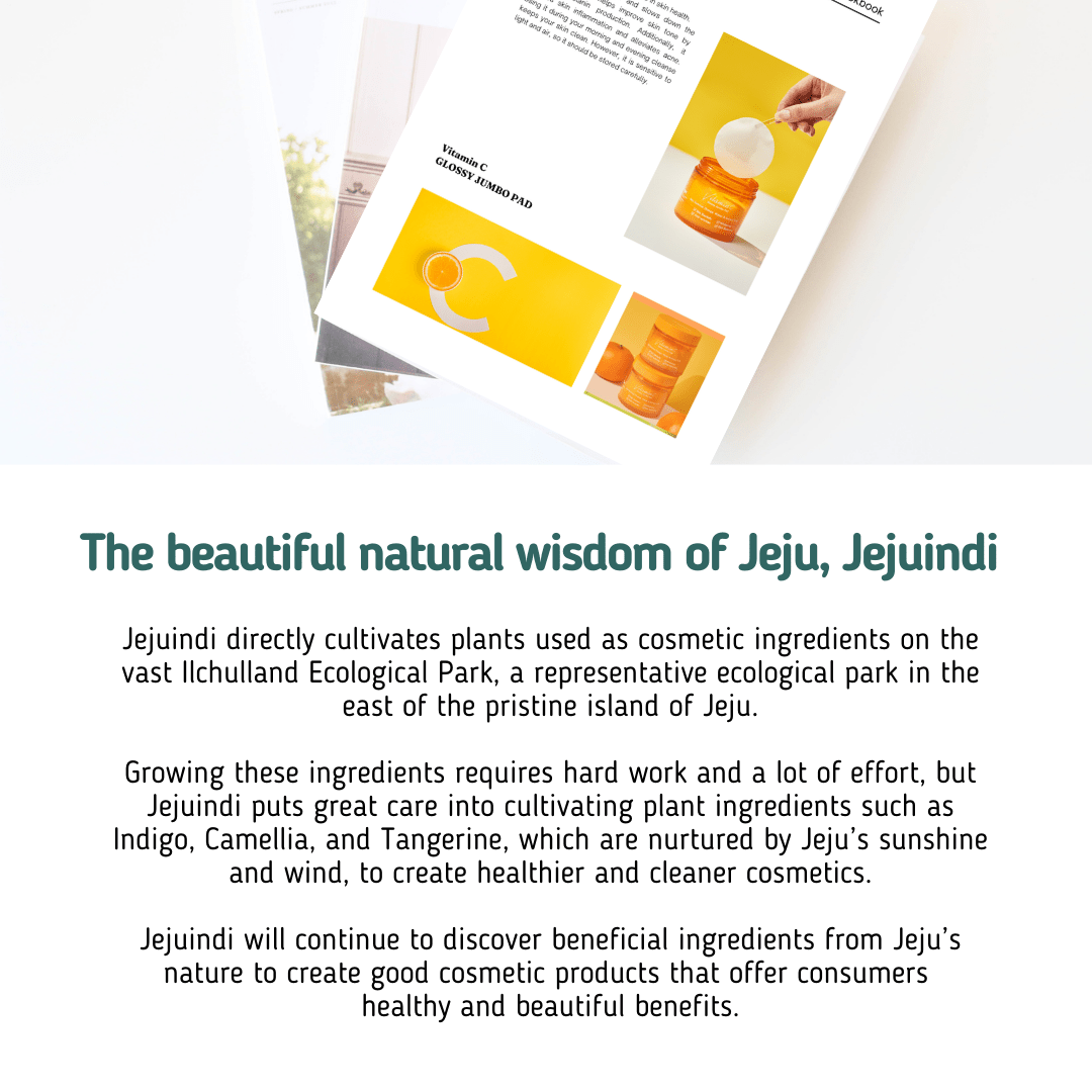 [JEJU INDI] Vitamin C Glossy Jumbo Pad 160ml - TIANSHOP