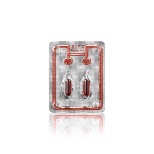 [Jung Kwan Jang] Red Ginseng Oil RXGIN Clean 502mg*60capsule(30.12g) - TIANSHOP