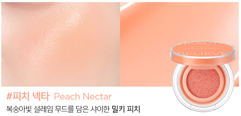 JUNGSAEMMOOL Artist Cushion Blush 4g (10color) - TIANSHOP