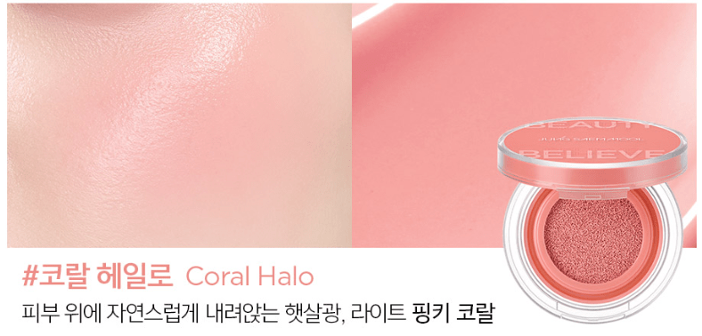 JUNGSAEMMOOL Artist Cushion Blush 4g (10color) - TIANSHOP