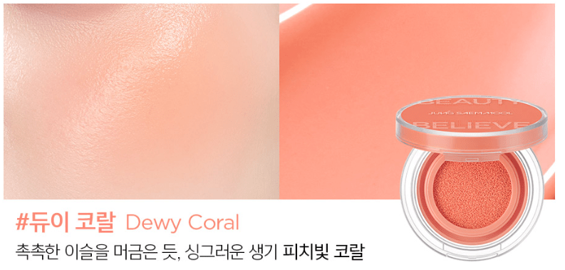 JUNGSAEMMOOL Artist Cushion Blush 4g (10color) - TIANSHOP