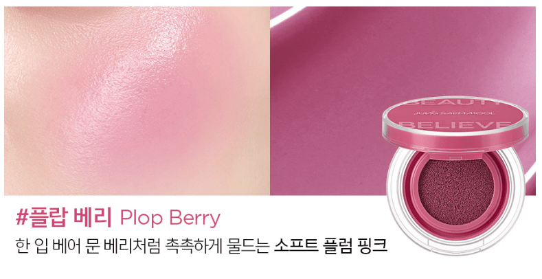 JUNGSAEMMOOL Artist Cushion Blush 4g (10color) - TIANSHOP