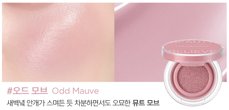 JUNGSAEMMOOL Artist Cushion Blush 4g (10color) - TIANSHOP