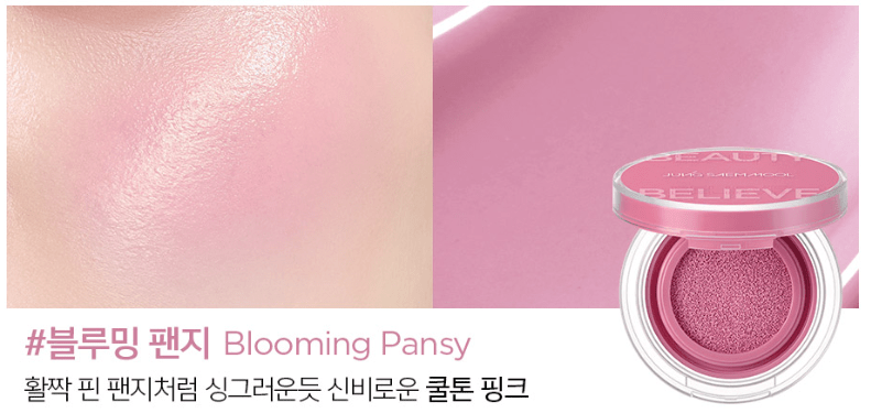 JUNGSAEMMOOL Artist Cushion Blush 4g (10color) - TIANSHOP
