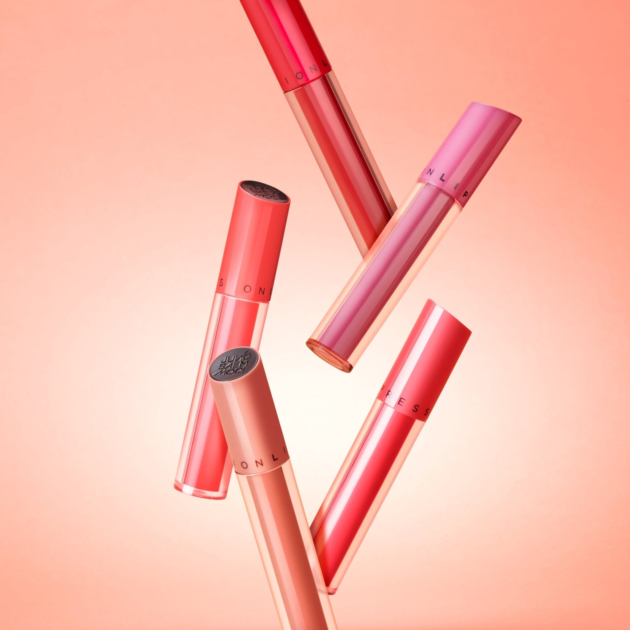 JUNGSAEMMOOL LIP - PRESSION Water Lasting Tint 4g - TIANSHOP