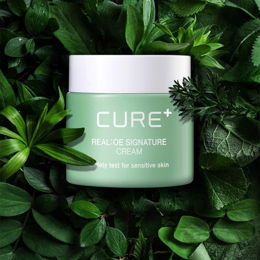 [KIM JEONG MOON Aloe] Cure Realoe Signature Cream 55g - TIANSHOP