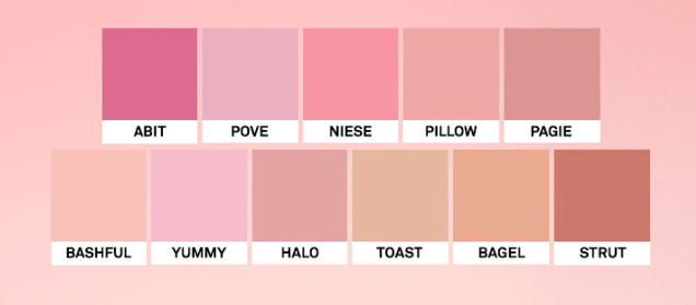 NAMING Fluffy Powder Blush 3.2g (10color) - TIANSHOP