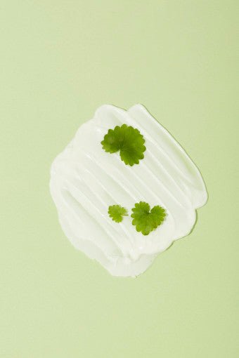 papa recipe Tea Tree Control Cleansing Foam 120ml - TIANSHOP